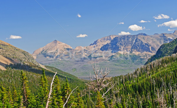 Mountain Vista along the Trail Stock photo © wildnerdpix