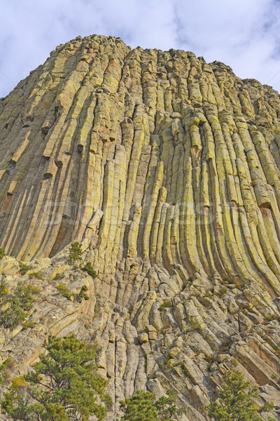 Columnar jointing on a volcanic remnant Stock photo © wildnerdpix