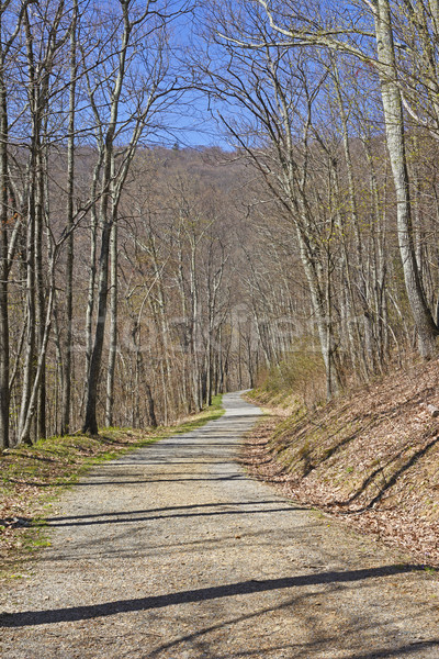 Calma rural estrada montanha parque Foto stock © wildnerdpix