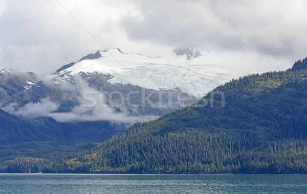 Ice and Clouds in a Costal Rain Forest Stock photo © wildnerdpix