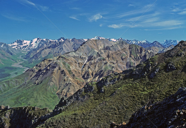 mountains in the wilderness Stock photo © wildnerdpix