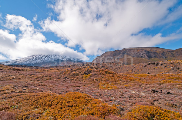 Volcano and its Volcanic Landscape Stock photo © wildnerdpix