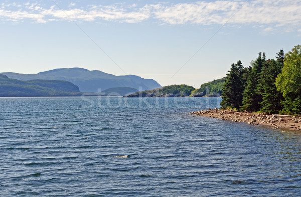 Summer day on an Ocean Inlet Stock photo © wildnerdpix