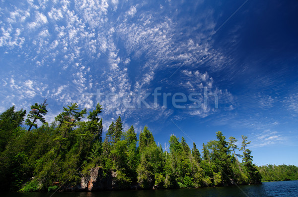 High clouds in the North Woods Stock photo © wildnerdpix