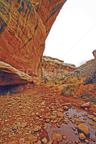 Ruhig Bach Wüste Canyon weiß unterhalb Stock foto © wildnerdpix