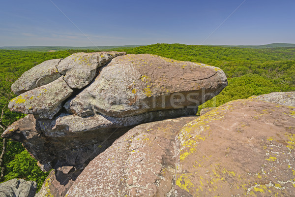 Zandsteen bos rotsen tuin landschap Stockfoto © wildnerdpix