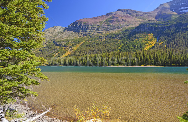 Dramatic Colors on an Alpine Lake Stock photo © wildnerdpix