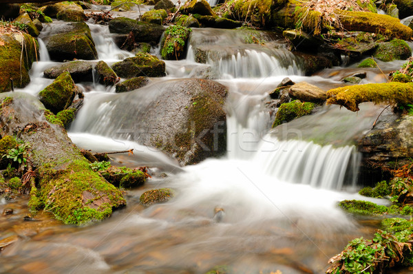 Spring water on a mountain creek Stock photo © wildnerdpix