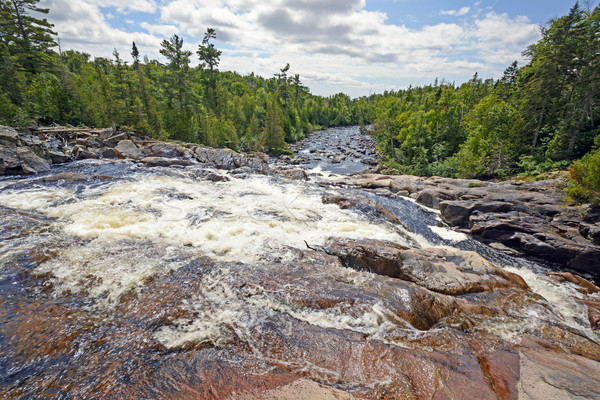 Looking Down a Rushing River on a Sunny Day Stock photo © wildnerdpix