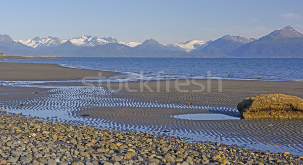 Laag getij rustig strand Alaska water Stockfoto © wildnerdpix