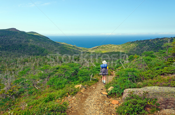 Backpacking to the Ocean Stock photo © wildnerdpix