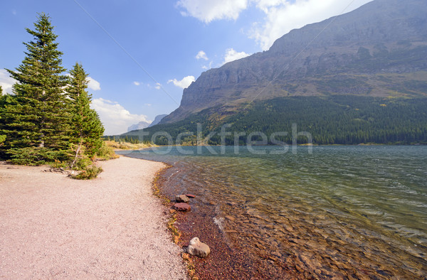 Colorful Lakeshore in the Mountains Stock photo © wildnerdpix
