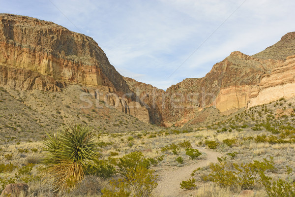 Remote trail into the Desert Stock photo © wildnerdpix
