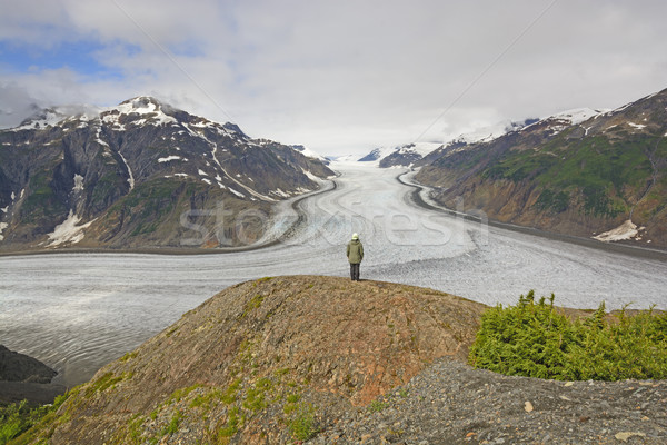 Looking at a Glacier from Above Stock photo © wildnerdpix