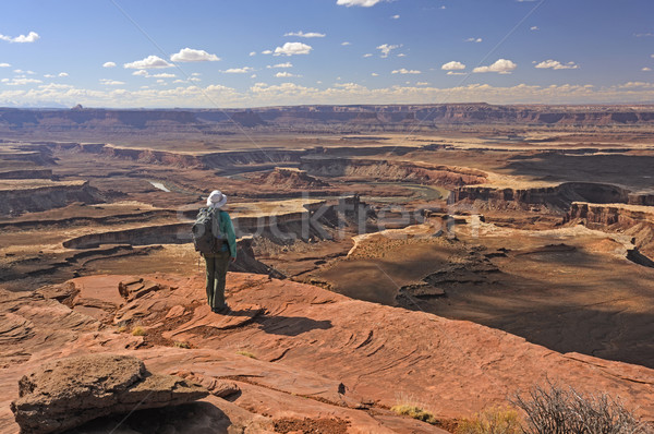 Looking Out Over the Canyonlands Stock photo © wildnerdpix