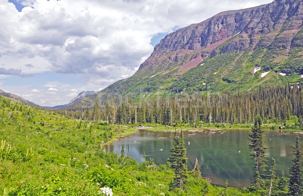 Mountain Pond in the Summer Stock photo © wildnerdpix