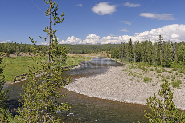 Rushing River in the American West Stock photo © wildnerdpix