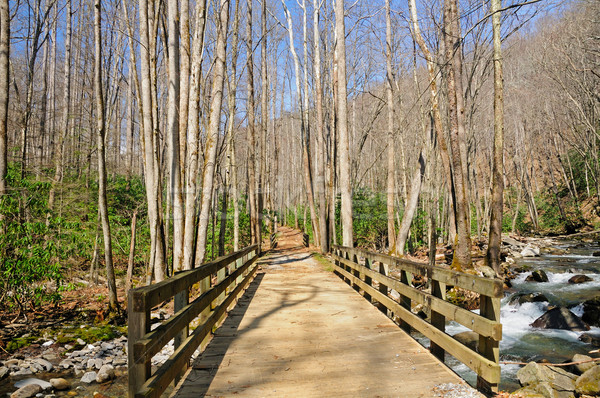 Bridge to the Wilderness Stock photo © wildnerdpix