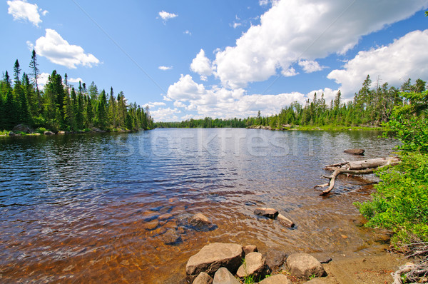 Summertime in the North Woods Stock photo © wildnerdpix