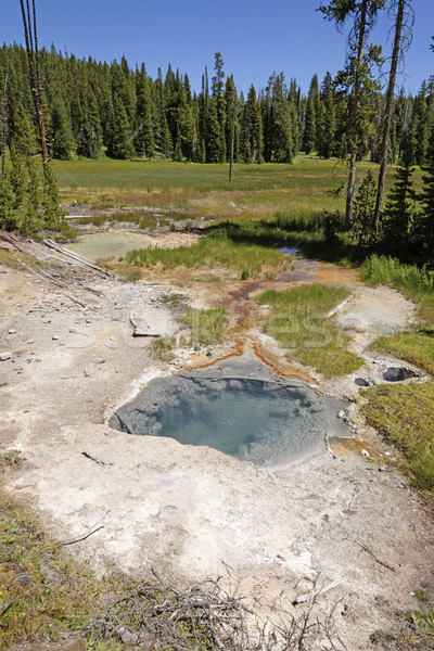 Colorful Thermal Pool in the Wilderness Stock photo © wildnerdpix
