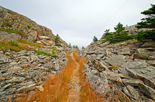 Nyom hegy passz Újfundland panoráma szabadtér Stock fotó © wildnerdpix