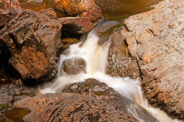 Wenig Kaskade Canyon Katarakt Fluss Park Stock foto © wildnerdpix