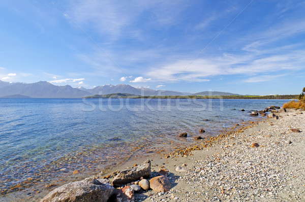 Sóder tengerpart tengerparti tó park Új-Zéland Stock fotó © wildnerdpix