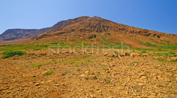 Volcanic Landscape in the Wilderness Stock photo © wildnerdpix