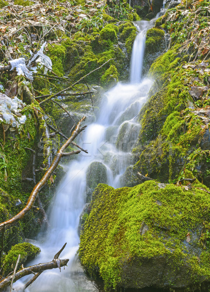 Dancing Waters in the Wilderness Stock photo © wildnerdpix