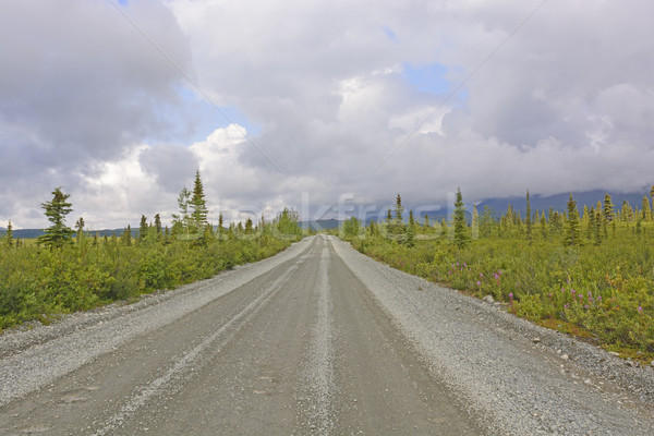 Carretera carretera Alaska paisaje Foto stock © wildnerdpix