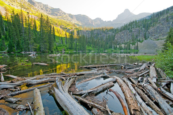 LIght and shadows of early monring in the mountains Stock photo © wildnerdpix