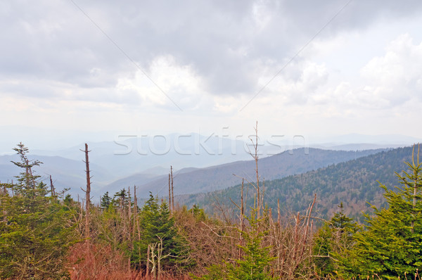 Nachmittag Sturm rauchig Berge Ansicht Kuppel Stock foto © wildnerdpix