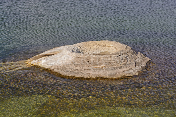 Kegel Geysir See Ufer Fischerei Park Stock foto © wildnerdpix