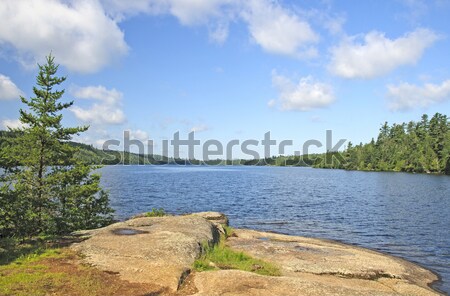 Early morning in the North Woods Stock photo © wildnerdpix