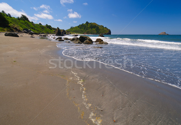 Sandy shore on the California Coast Stock photo © wildnerdpix