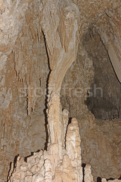 Colorful Column in a Cavern Stock photo © wildnerdpix