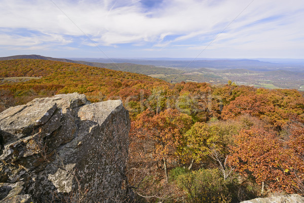 Fall Colors from a Mountain Outcrop Stock photo © wildnerdpix