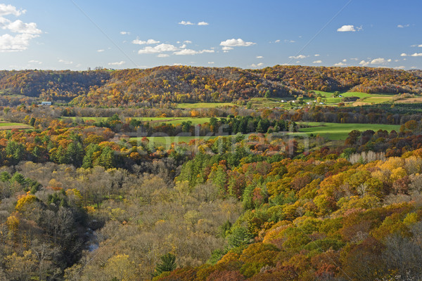 Wisconsin farm vidék ősz vadmacska hegy Stock fotó © wildnerdpix