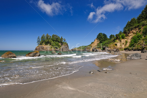 Coastal Waters on the West Coast Stock photo © wildnerdpix