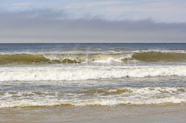 Crashing Waves on a Remote Beach Stock photo © wildnerdpix