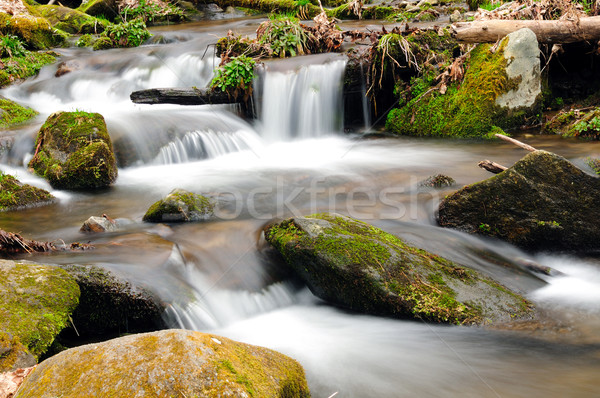 A mountain stream in the spring Stock photo © wildnerdpix