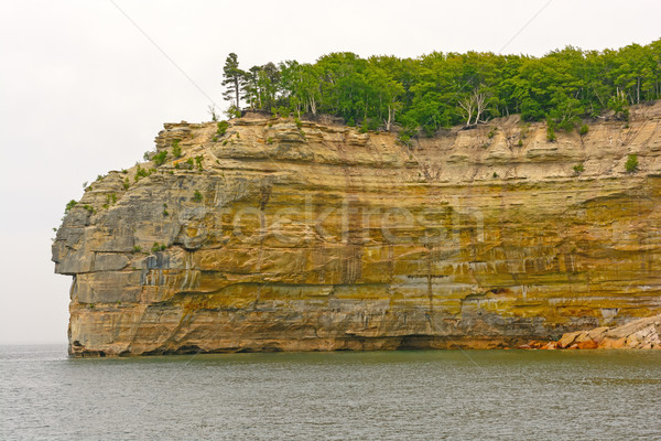 Lakeshore Cliff in the Fog Stock photo © wildnerdpix