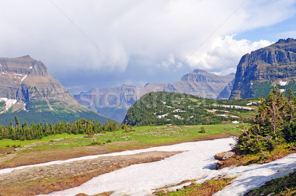 Mountain pass after a summer storm Stock photo © wildnerdpix