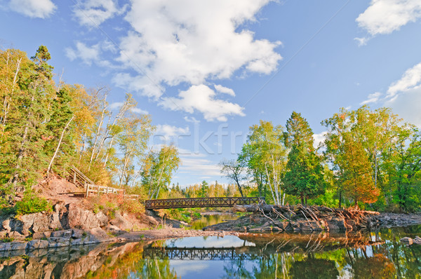 Scenic Bridge over a Quiet Stream Stock photo © wildnerdpix