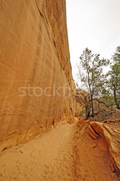 Sandy Trail along a red rock canyon wall Stock photo © wildnerdpix