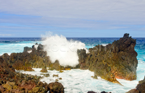 Crashing waves on a Tropical Shore Stock photo © wildnerdpix