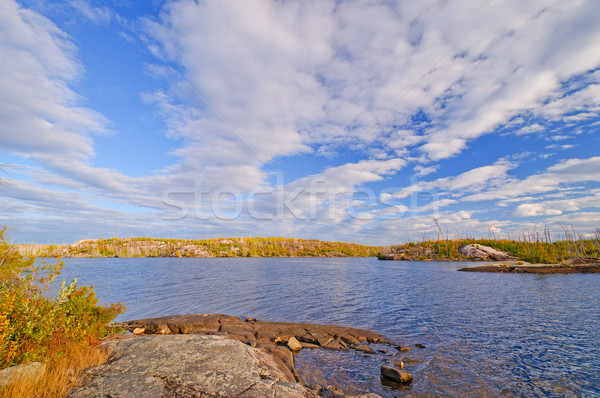 Bright fall skies in the North Woods Stock photo © wildnerdpix