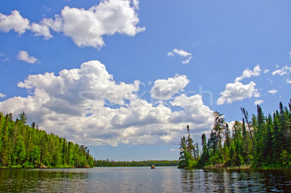 Summer Skies in Canoe Country Stock photo © wildnerdpix