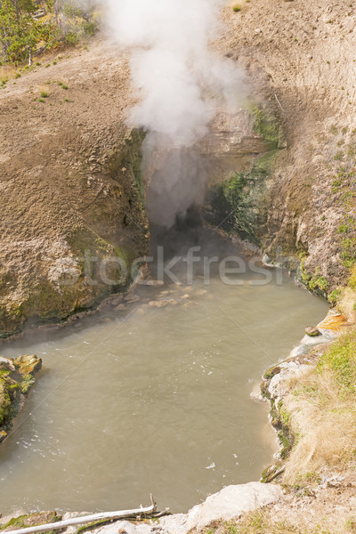 Steam and Hot Water in a Thermal Pool Stock photo © wildnerdpix