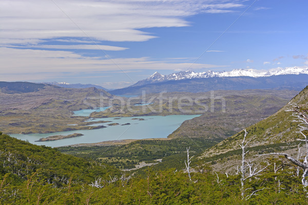 Patagonian Panorama in Chile Stock photo © wildnerdpix